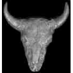 BUFFALO SKULL CAST PIN